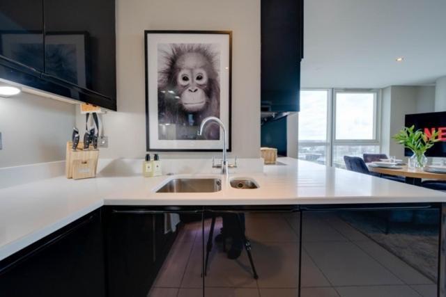 Tallest Building In The City Centre Sleeps 5 Incredible City Mountain And Lagan Views Belfast Extérieur photo